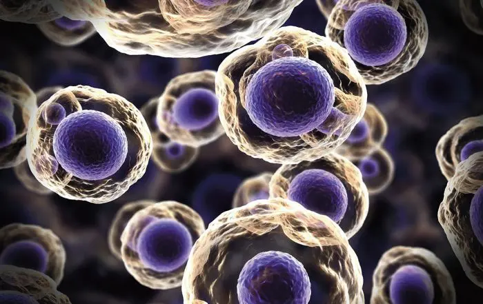 tumor é câncer