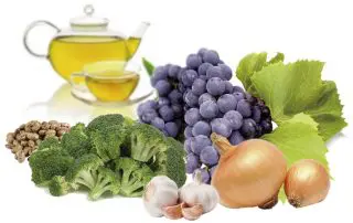 alimentos que combatem o câncer